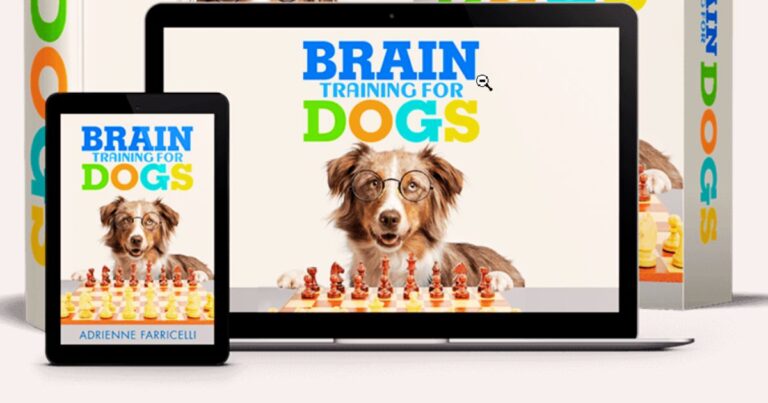 Brain Training for Dogs – Unique Dog Training: A Comprehensive Guide